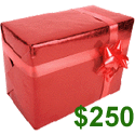 $250.00 ATS Gift Certificate